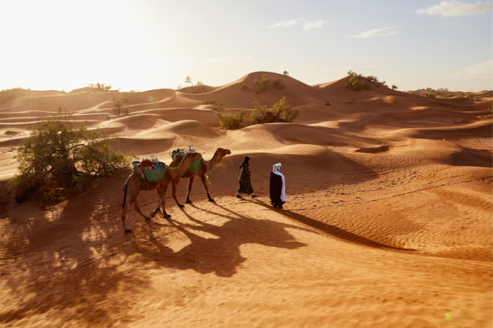 4 Days Morocco Desert Tour From Fes to Marrakech