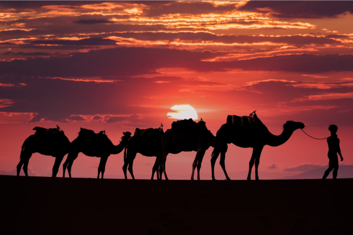 5 days from marrakech to merzouga desert