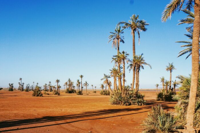 5 Days Morocco Desert tour from Fes to Marrakech