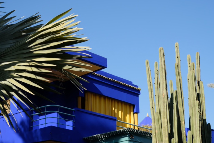 Guided tour of the Jardin Majorelle